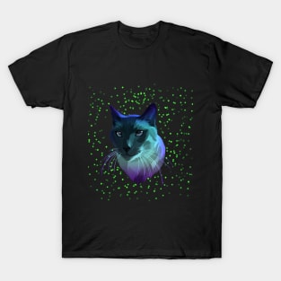 Cute cat in colorful T-Shirt